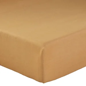 Drap housse Blé